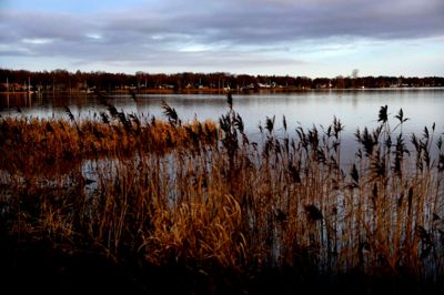 Sundsborgere frygter, at Sunds Sø vil blive plaget af urinlugt, efter kommunen har fjernet toilettet på nordsiden af søen tæt ved søbørnehaven. ?foto: henrik ole jensen