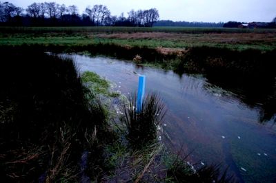 Mange års arbejde med naturgenopretning af Rimmerhus Bæk har givet flotte resultater. ?foto: henrik ole jensen