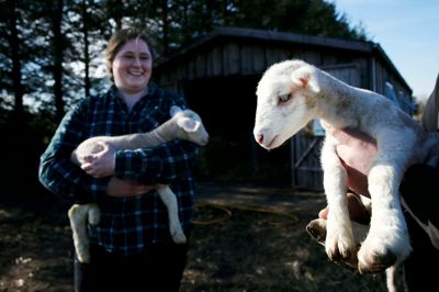 I søndags kom de første forårslam til verden hos Sirid Kaatmann og Christian Hindhede på Dybegaarden i Sinding. Lørdag 15. april holder de åbent hus for interesserede, når der er Fårets Dag i hele Danmark.?Foto: Flemming Hansen