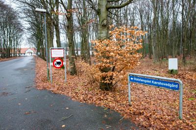 Foto: Tom Laursen