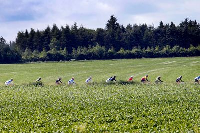 Nogle drøner af sted for at komme i mål på en rigtig god tid, andre af Lady Tours deltagere kører på almindelige cykler i roligt tempo, og de hygger sig og nyder samværet, naturen, duftene og motionen. ? Foto: Flemming Hansen