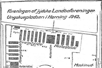 Det første Ungskue i Herning blev i 1907 afviklet på Markedspladsen. Det andet Ungskue i 1942 blev gennemført i dagene 9.-12. juli på en ungskueplads, der var indrettet mellem Sundsvejen, Lillelundvej og Tingvej. ? Illustration: Herning Folkeblad