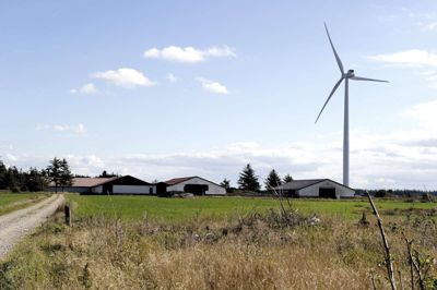 Danske vindmøller skal fremover konkurrere med kinesiske solceller om statslige støttekroner til elproduktion i Danmark. /ritzau/Andreasen Carsten