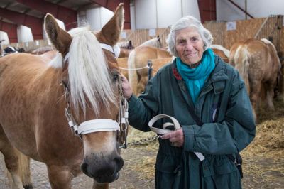 På Landsskuet er det vigtigt, at hestene ser godt ud, så der flyver en masse mennesker hen for at strigle den Jyske Hest, der skal med på billedet af Louise Holst. - Hvad med mit hår? siger Louise Holst, der retter på håret og smiler til kameraet, da hesten endelig er klar. ? FOTO: TOM LAURSEN