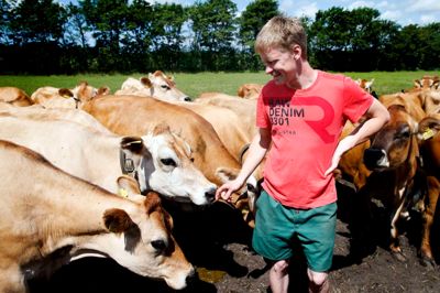 En enkelt af Jens Peter Mølleskovs køer vejer 500 kilo, og de mange tons af mælkebeholdere på ben kan godt skræmme en journalist en smule. ?FOTO: FLEMMING HANSEN