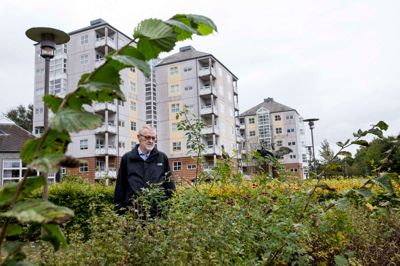 - Hvis det var hjemme i din villahave, at hækken så sådan ud, ville du være flov over det, siger Poul Handrup, mens han kigger ud over hækken og rører ved topskuddene. ?FOTO: TOM LAURSEN