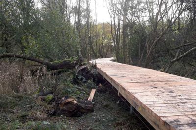 Det igangværende arbejde med at etablere en gangbro ud til fugleskjulet ved Gødstrup Sø skrider frem. ?Foto: Asger Astrup Kristensen, Herning Kommune