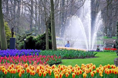 Det er en meget smuk og overvældende oplevelse at besøge verdens største blomsterpark, Keukenhof.