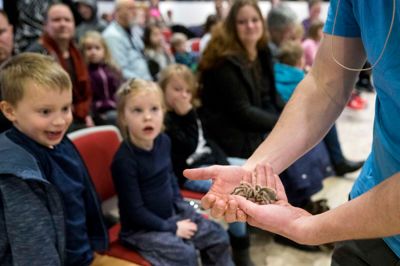 Den chilienske fugleedderkop Rosita var på besøg på biblioteket. ?FOTO: TOM LAURSEN
