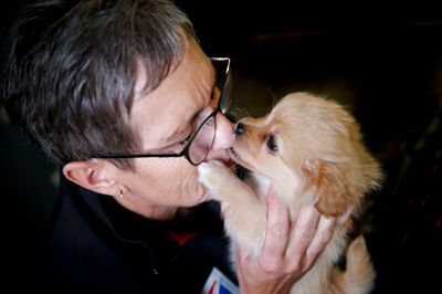 Birgit Karlsen og manden Kent Karlsen har haft internat i Brande siden 1986 og har arbejdet for dyrenes beskyttelse de seneste 20 år. Hvalpen Birgit Karlsen sidder med er fra en større hundesag. Den seneste måned har de haft det godt på internatet og fra torsdag er de klar til nye hjem. ?