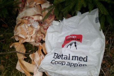Skovsvin havde efterladt to poser med slagteriaffald i skovbrynet. ?Foto: Privatfoto