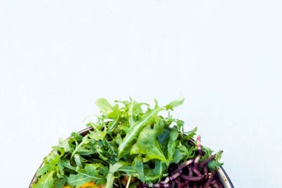 Varm fennikelsalat med rodfrugtmos. ?Foto: Lisbett Wedendal