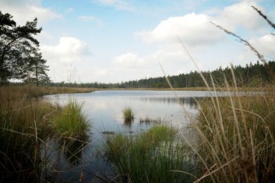 Denne sø dannede i 1800-tallet ramme om en dramatisk begivenhed. ?Foto: Thomas Vang Nielsen