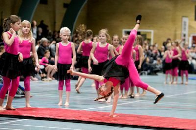 Fra en tidligere forårsopvisning. Foto: Tom Laursen