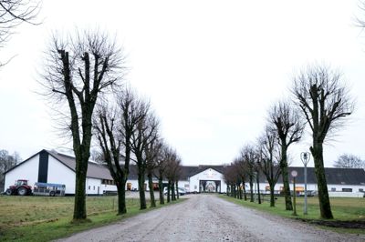 Optagelseshjemmet har i en årrække ønsket sig en sal til fester, foredrag, sport og forskellige andre ting, og nu skal drømmene gøres til virkelighed. ?Foto: Tom Laursen