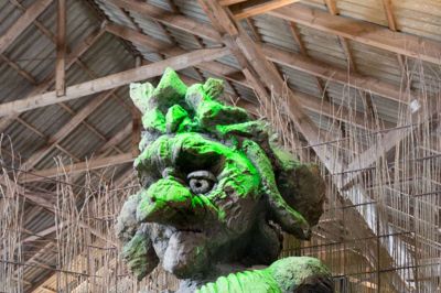 Vi besøger først det spændende Vildmosemuseum, der huser lidt af hvert - også en skovtrold.