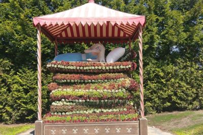 Prinsessen på ærten - eller rettere blomsterne. Billedet er fra Kirkens Korshærs Væresteds udflugt til Jesperhus Blomsterpark. ?Foto: Privatfoto