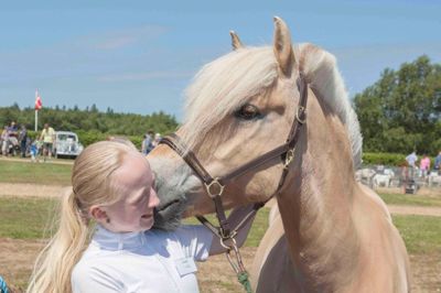 Såer der historisk dyrskue. Privatfoto