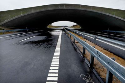 Arbejdet med at fræse den gamle asfalt af og lægge ny på er stort set færdigt. Nu mangler der bare afstribning. Foto: Henrik Ole Jensen