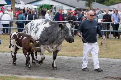 Foto: Tom Laursen