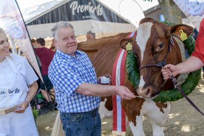 Danmarks Smukkeste Malkeko 2018 blev en rødbroget holstein-ko fra den nordjyske udstiller Asger Kappel i Fjerritslev. ?Der var dog også mange udstillere fra Herning og Ikast-Brande kommuner, som fik ærespræmier. Foto: Landsskuet