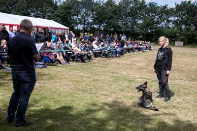 Schæferhundeklubben kreds 14 Herning har eksisteret i 50 år. Nu arbejder klubben på at udvide faciliteterne ved Lollandsvej i det nordlige Herning med en agility-bane.? foto: tom laursen