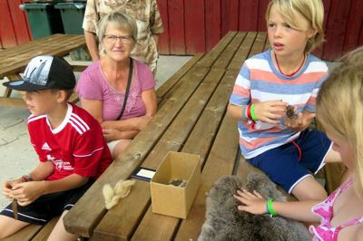 Laura Poulsen (t.h.) fra Herning var meget optaget af det garvede kaninskind, mens brødrene Malthe (m.f.), Mikkel (t.v.) og mormor lyttede godt efter da museums-inspektør Julie Lolk gik dennem 15.000 års historie. ?