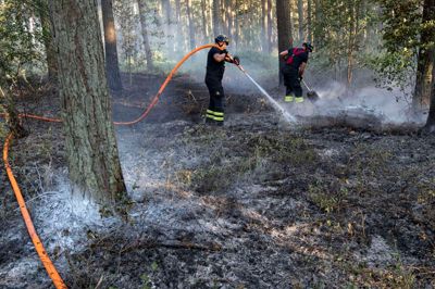 Et stort hold danske brandfolk er stadig i Sverige for at hjælpe svenskerne med at bekæmpe skovbrande. En af danskernes opgave er at holde skovbunden fugtig, så brandene ikke blusser op og breder sig.? Foto: Ritzau Scanpix