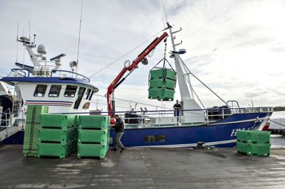 Aftalen skal forhindre få fiskere i at sætte sig på en stor del af kvoterne. Foto: Henning Bagger/arkiv/Ritzau Scanpix