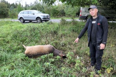 Michael Hauge har fundet to dåhjorte, som er blevet skudt af krybskytter ved Søby Brunkulslejer. Der er udlovet en dusør på 25.000 kroner i sagen.? Foto: Troels Romby Larsen