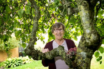 Siden Ingrid Kristensen kom til Haderup i 1965 har hun været engageret i frivilligt arbejde diverse steder - de seneste 31 år som kasserer i borgerforeningen. Foto: Tom Laursen