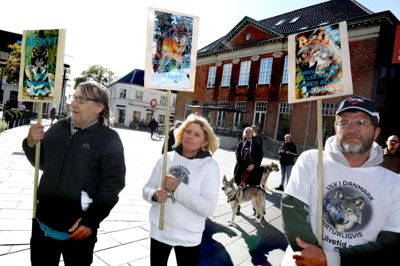 Demonstrtion for ulve, på Torvet.