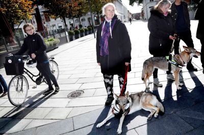 Demonstrtion for ulve på Torvet i Herning fredag eftermiddag. Foto: Henrik Ole Jensen