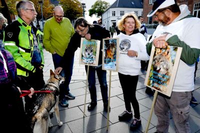 Folk med skilte, der hylder ulvens tilstedeværelse i Danmark, var et af de syn, man kunne opleve på Torvet fredag eftermiddag, hvor Ulvetid.nu holdt demonstration.?Foto: Henrik Ole Jensen