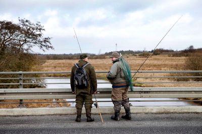 Regulering af sæler har haft den ønskede effekt i Karup Å. Der er blevet skudt fire sæler, og den seneste måned er der ikke blevet set sæler. Foto: Flemming Hansen