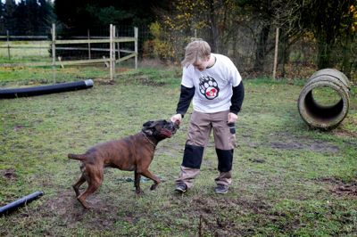 Boxeren Tyson får lov til at lege i hundegården med 17-årige Emil Jessen, der både hjælper til med hundene, men som også har været med til at bygge den gamle lade om til hundepension. ?Foto: Flemming Hansen