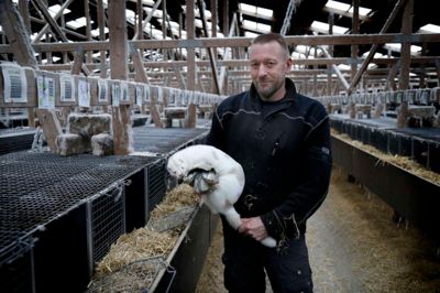Minkbranchen er hårdt presset i øjeblikket med falende priser. Det har betydet, at Peter Fleborg måtte gå konkurs tidligere på året. Han har fået lov at fortsætte som driftsleder af de nye ejere af farmen, og her viser han en fremavlet plettet mink frem.