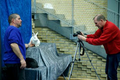 Lars Sørensen og Bent Knudsen stod for at tage såkaldte standardbilleder af kaninerne, mens Grete Stick tager billeder til ren fornøjelse. Foto: Flemming Hansen