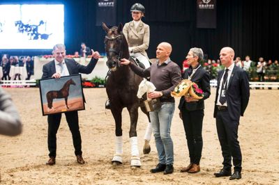 »Årets hingst« Skovens Rafael bliver kåret til Dansk Varmblods Hingstekåring lørdag eftermiddag i Boxen. Lotte Skjærbæk rider en show-runde efterfølgende i den flotte guldjakke. Per Skjærbæk står stolt ved sin kone og hingst side i midten. Fotos: Tom Laursen
