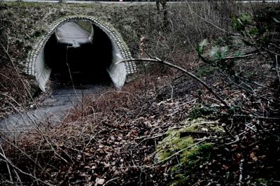 Når Bordings nye børnehave åbner på Bodholdtvej om få dage, ventes en voldsom stigning i antallet af børn og unge, der skal bruge gangtunnellen mellem skolen og børnehaven. Derfor vil Bording Lokalråd gerne have gjort noget ved den beskidte og dårligt oplyste tunnel, inden vintermørket vender tilbage. ?Foto: Henrik Ole Jensen