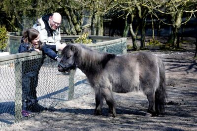 Jyllands Park Zoo åbner.