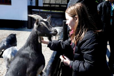 Anna Sofie Eriksen på 10 år er med sine bedsteforældre i Jyllands Park Zoo. ?Foto: Henrik Ole Jensen
