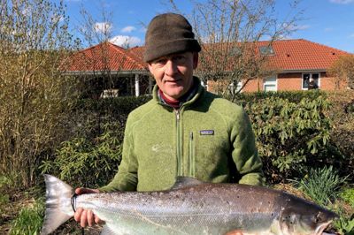 Henrik Jensens første laks i år målte 95 centimeter og vejede 8,5 kilo. ?privatfoto