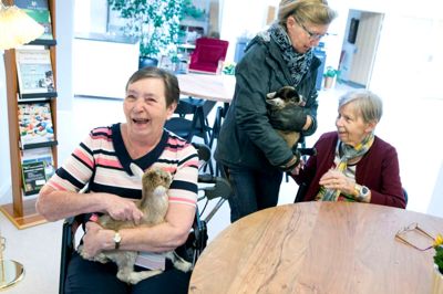 Frivillig Henny Platz gav det også et kid til Erna Larsen, der sidder ved siden af Bodil Brahms. Kiddene var lidt utrygge ved at være væk fra deres mor Grethe, men faldt hurtigt til ro, da de blev kløet og nusset af de to damer. ?foto: Tom Laursen