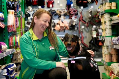 Karina Endahl hentede sin Dobermann i Alanya, Tyrkiet. Til daglig arbejder hun her i dyrehandlen Maxi Zoo og på Fox & Hounds, og man må gerne tage sine dyr med på arbejde i Maxi Zoo. ?Foto: Flemming Hansen