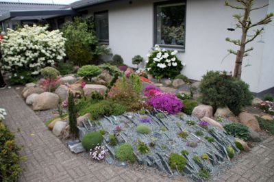 Flotte haver i Ringkøbing. Foto: Privat foto