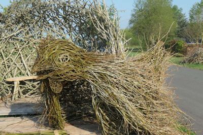 Hønemor flettet i poppel og pil. Anne Mette Hjørnholm, der er pilefletter, har stået for det skulpturelle hønsehus, som bliver en del af Landsskuet 4. til 6. juli. Først skal hun på Torvet i Herning lørdag for at informere om Landsskuet. Foto: Privatfoto