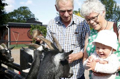 Poul Erik Jessen, 60 år, og Anne-Marie Hindhede, 61 år, fra Tjørring, og barnebarn Lærke 1 år: - Poul Erik har fået en tur herud i fødselsdagsgave, og Lærke er vild med dyr. Hun har får, kreaturer, hunde og katte derhjemme. Vi glæder os til de dyr, hun kan være med til - de små dyr. Og så har vi madpakke med, fortæller Anne-Marie Hindhede. Flemming Hansen