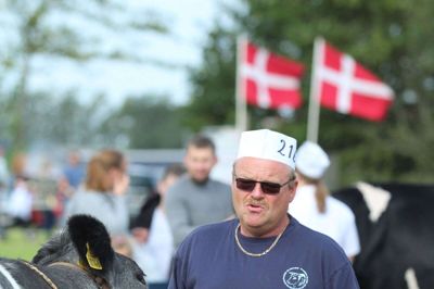Det var Henrik Jeppesens søn og et par andre hjælpere, der klargjorde de belgiske blåhvide kødkvæg og trak dem ind i ringen til bedømmelse. Foto: Henrik Lind Jørgensen Henrik Lind Jørgensen