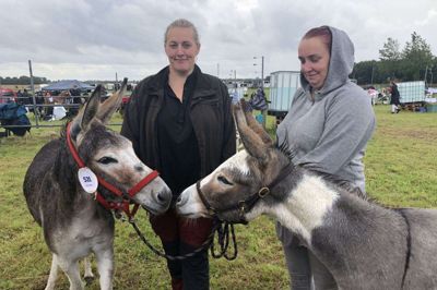 Tine Ingemann Jensen (t.v.) havde fem æsler med på dyrskuet i Aulum, mens Nina Jensen havde to. Foto: Henrik Lind Jørgensen